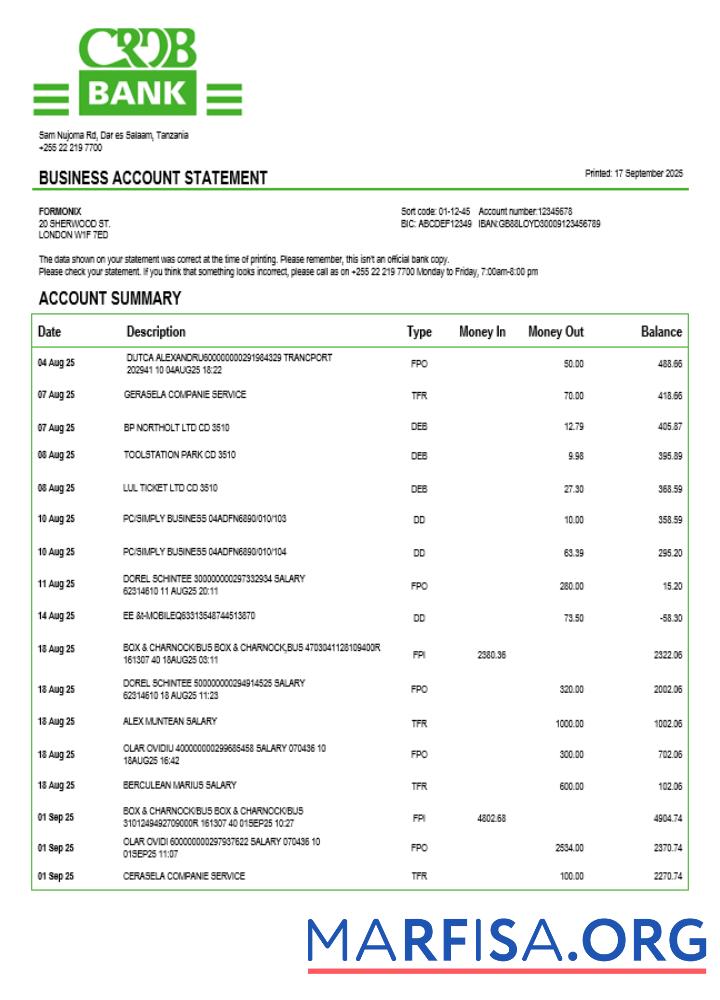 Downloadable Tanzania CRDB company checking account statement Word and PDF template
